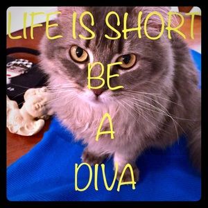 ❤️Be a Diva ❤️